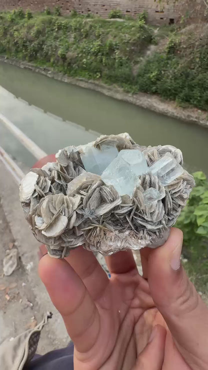 Aquamarine Crystal on Muscovite – Nagar Valley, Gilgit-Baltistan, Pakistan